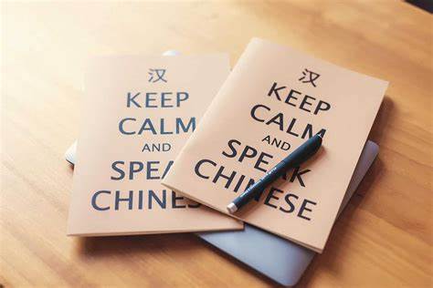 Chinese language learning becomes more popular worldwide